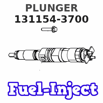 131154-3700 PLUNGER 