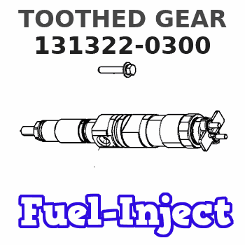 131322-0300 TOOTHED GEAR 