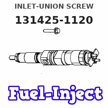 131425-1120 INLET-UNION SCREW 