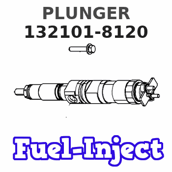 132101-8120 PLUNGER 