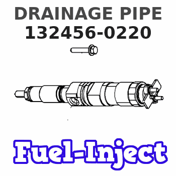 132456-0220 DRAINAGE PIPE 