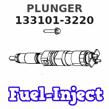 133101-3220 PLUNGER 