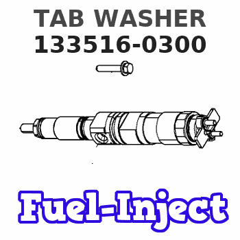 133516-0300 TAB WASHER 