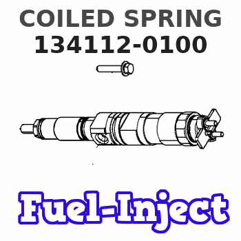 134112-0100 COILED SPRING 