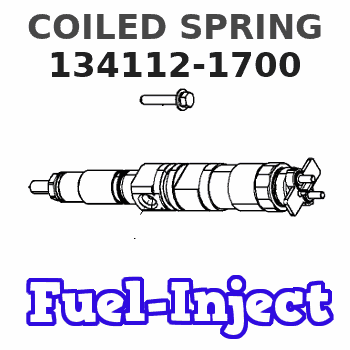 134112-1700 COILED SPRING 
