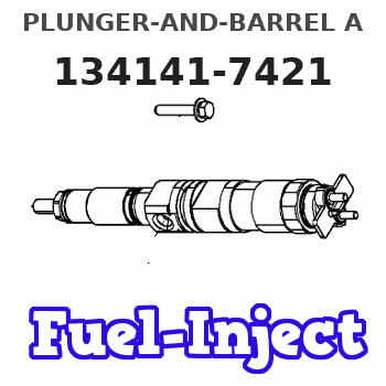 134141-7421 PLUNGER-AND-BARREL A 