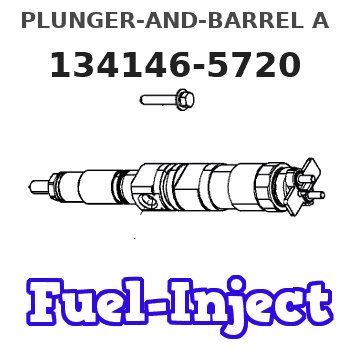 134146-5720 PLUNGER-AND-BARREL A 
