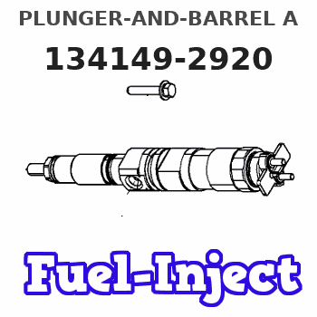 134149-2920 PLUNGER-AND-BARREL A 