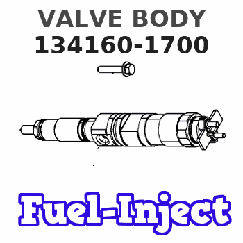 134160-1700 VALVE BODY 