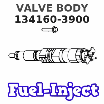 134160-3900 VALVE BODY 