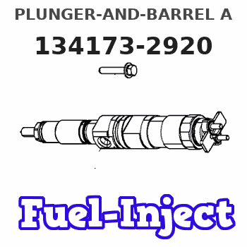 134173-2920 PLUNGER-AND-BARREL A 