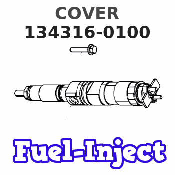 134316-0100 COVER 