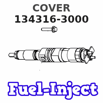 134316-3000 COVER 