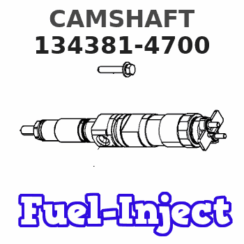 134381-4700 CAMSHAFT 
