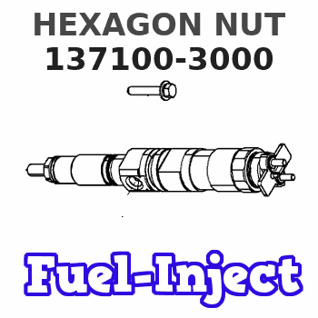 137100-3000 HEXAGON NUT 