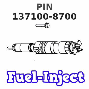 137100-8700 PIN 
