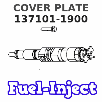 137101-1900 COVER PLATE 