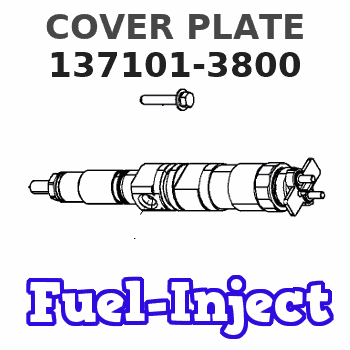 137101-3800 COVER PLATE 