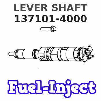 137101-4000 LEVER SHAFT 