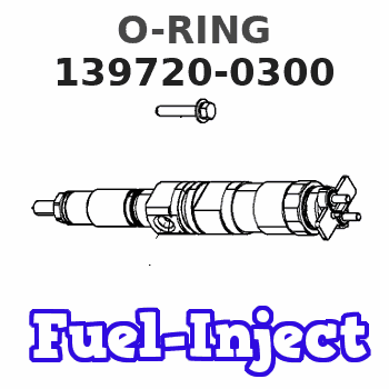 139720-0300 O-RING 