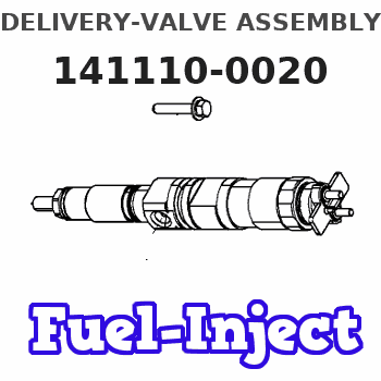 141110-0020 DELIVERY-VALVE ASSEMBLY 