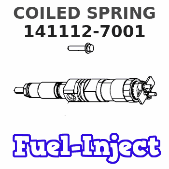 141112-7001 COILED SPRING 