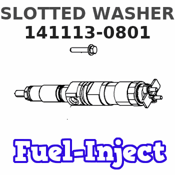 141113-0801 SLOTTED WASHER 