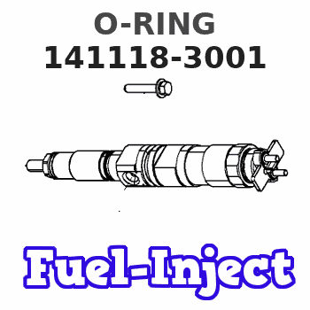 141118-3001 O-RING 