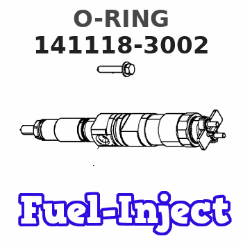 141118-3002 O-RING 