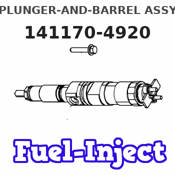 141170-4920 PLUNGER-AND-BARREL ASSY 