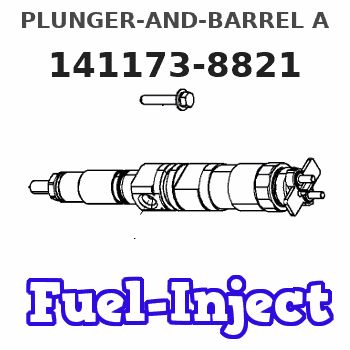 141173-8821 PLUNGER-AND-BARREL A 