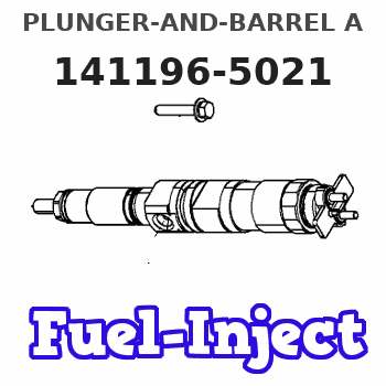 141196-5021 PLUNGER-AND-BARREL A 
