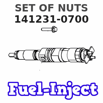 141231-0700 SET OF NUTS 