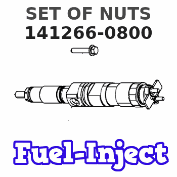 141266-0800 SET OF NUTS 