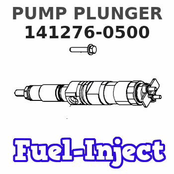 141276-0500 PUMP PLUNGER 