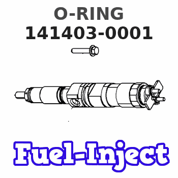 141403-0001 O-RING 