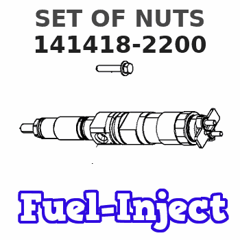141418-2200 SET OF NUTS 
