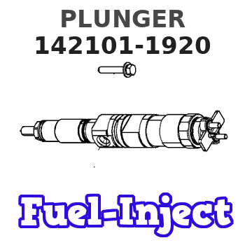 142101-1920 PLUNGER 