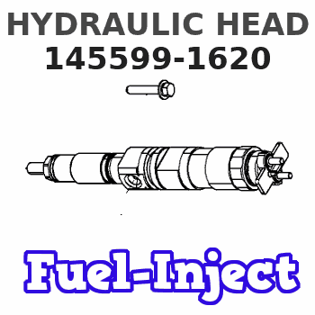 145599-1620 HYDRAULIC HEAD 