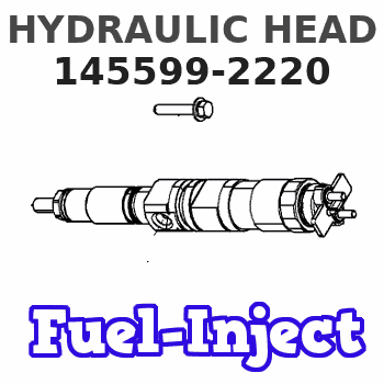 145599-2220 HYDRAULIC HEAD 