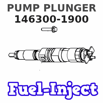 146300-1900 PUMP PLUNGER 
