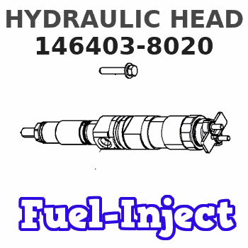 146403-8020 HYDRAULIC HEAD 