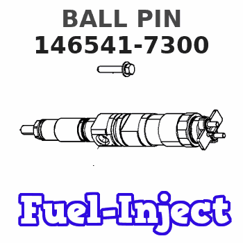 146541-7300 BALL PIN 