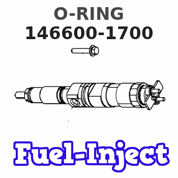 146600-1700 O-RING 