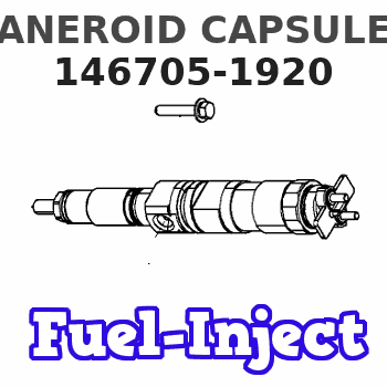 146705-1920 ANEROID CAPSULE 