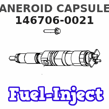 146706-0021 ANEROID CAPSULE 