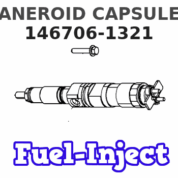 146706-1321 ANEROID CAPSULE 