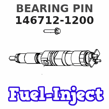 146712-1200 BEARING PIN 