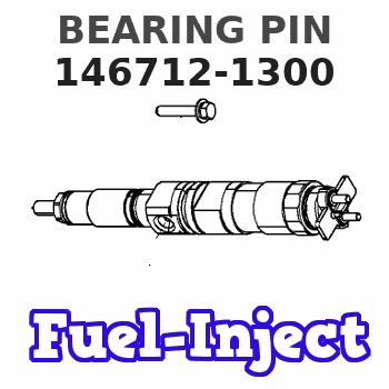 146712-1300 BEARING PIN 