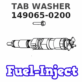 149065-0200 TAB WASHER 